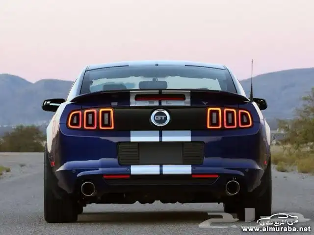 مطلوب موستنق للبيع 0