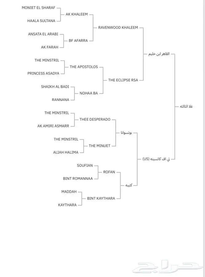 فرس فاخرة لاقح 1