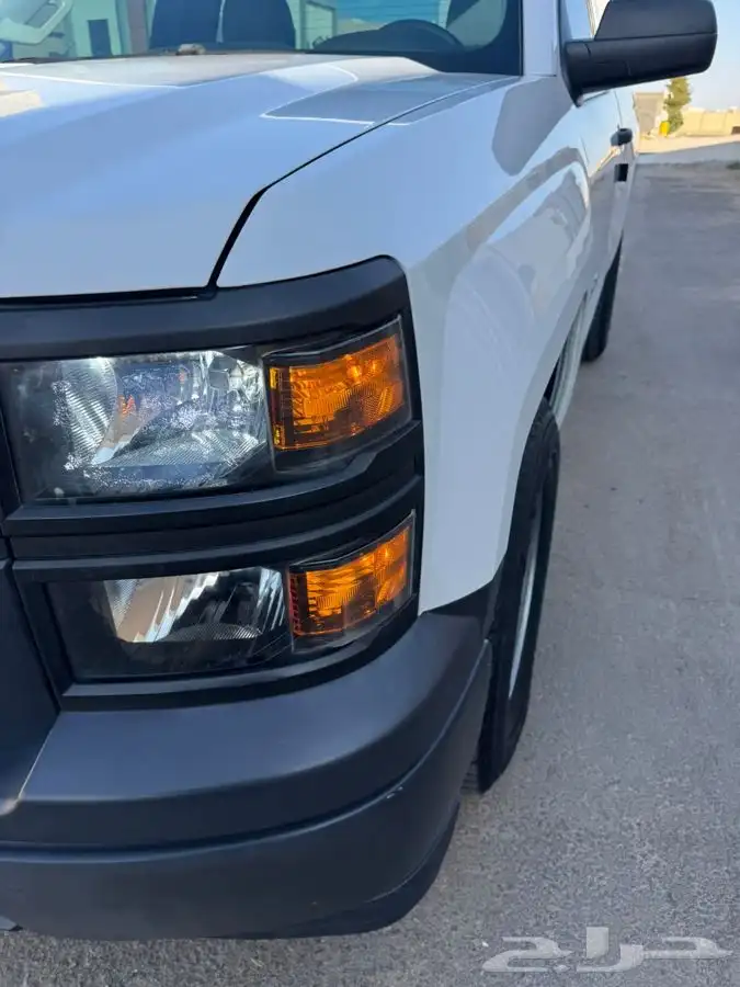 سلفرداو 2014 4