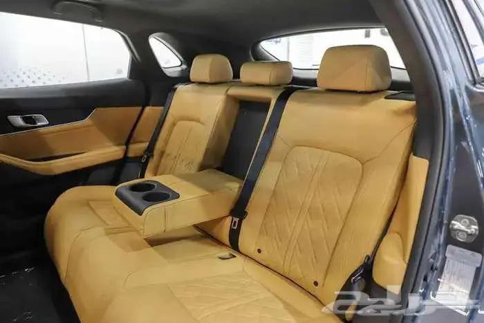 شانجان يونى كى 2026 11