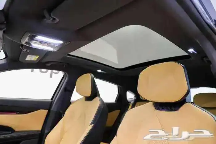 شانجان يونى فى 2026 10