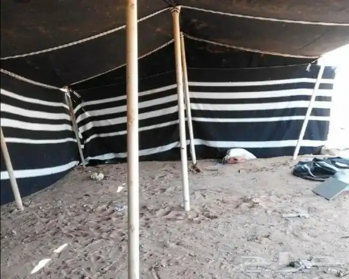 خيمة وبيوت الشعراء جميع بيوت الشعر على الحديد وطناب على البل 7