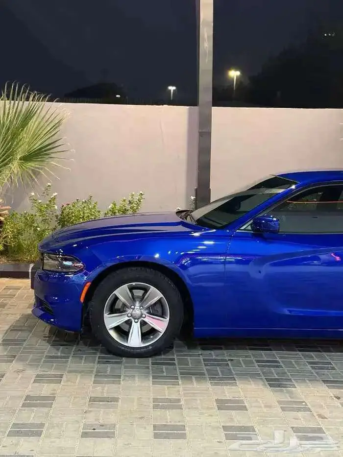 دوج تشارجر 2019 SXT بحالة الوكالة 8