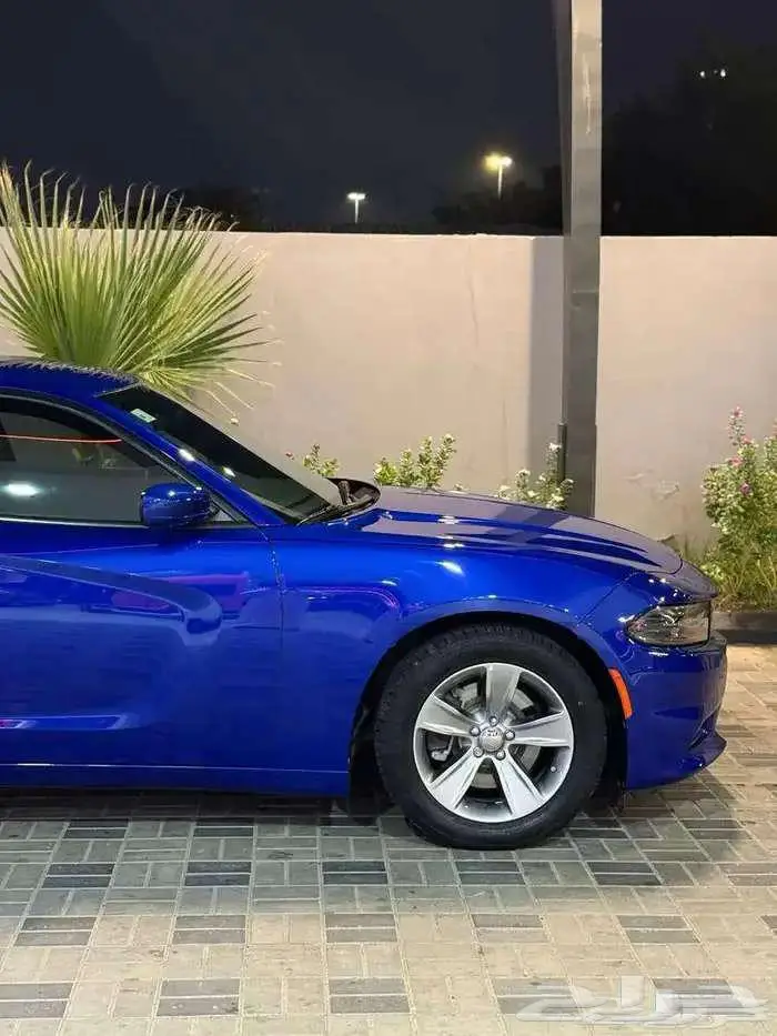 دوج تشارجر 2019 SXT بحالة الوكالة 5