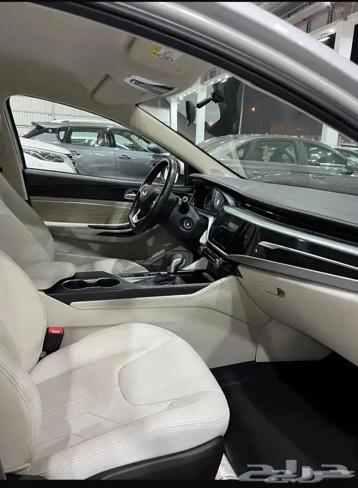 شيري اريزو 5 2024 7