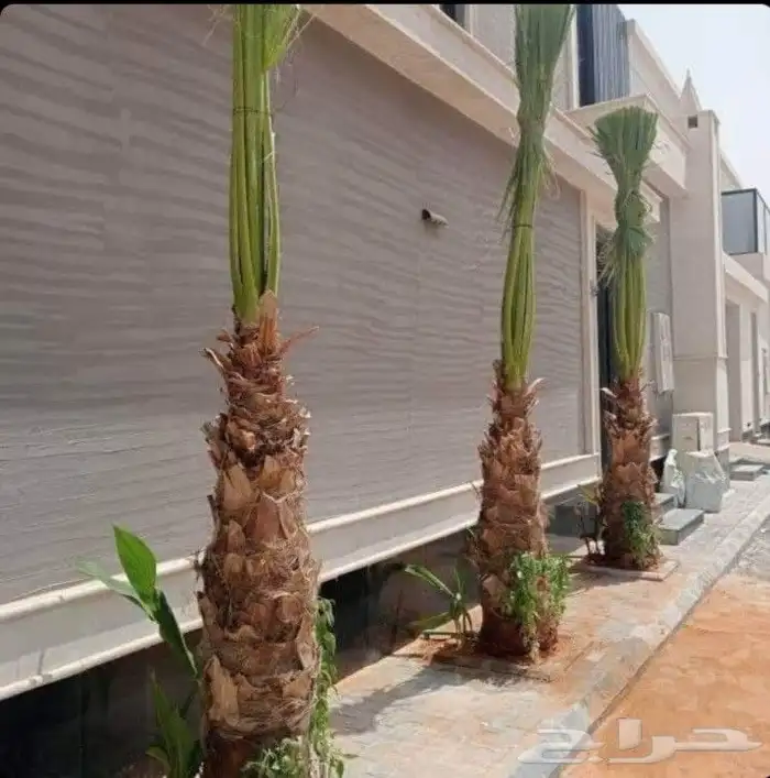 مزارع ومنسق حدائق 1