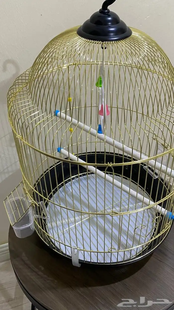 قفص طيور 1