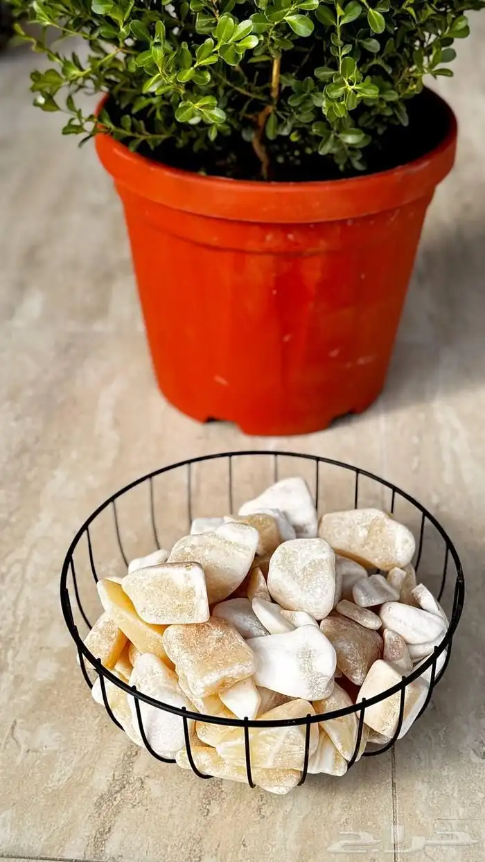 تنسيق الحدائق المنزلية 7