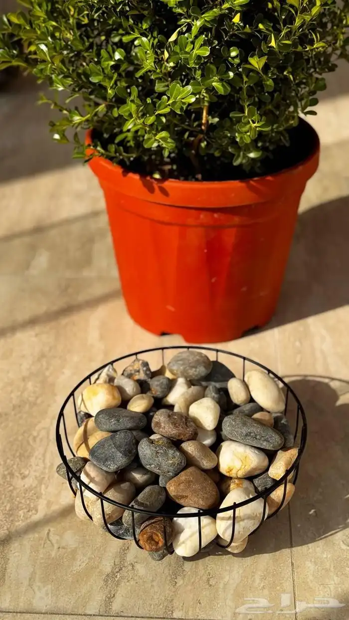 تنسيق الحدائق المنزلية 5