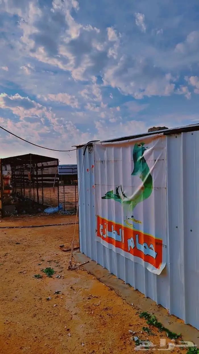 مشروع حمام منتج 3