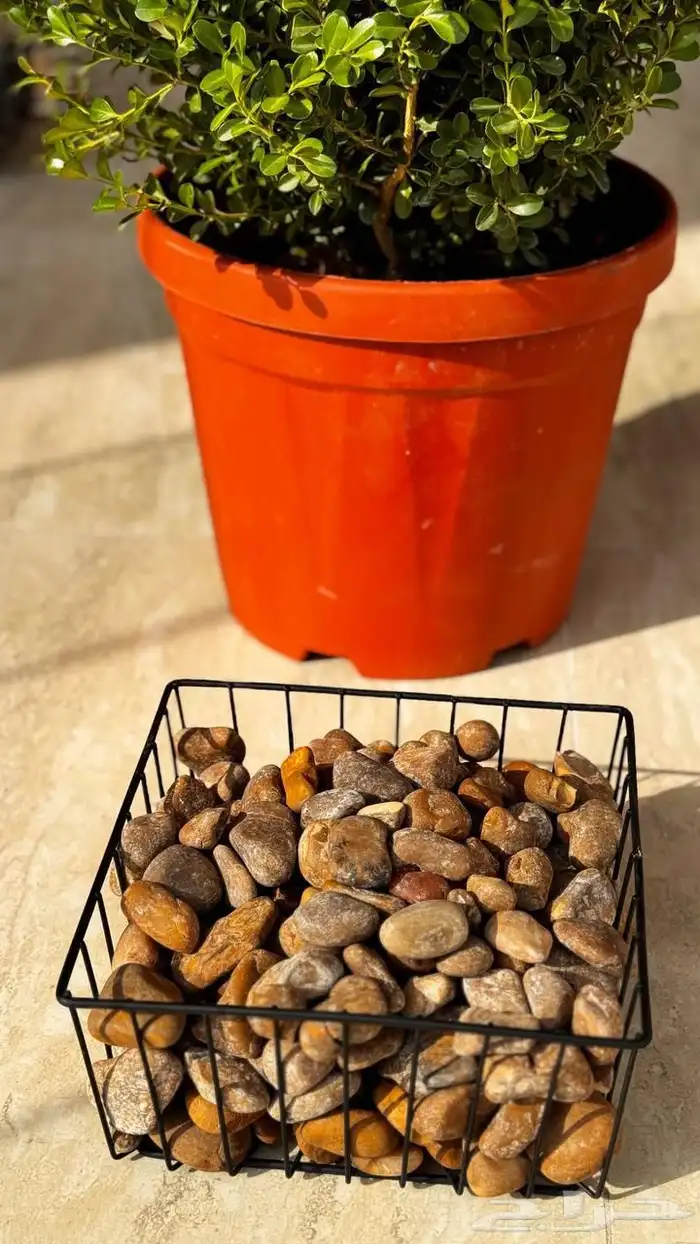 تنسيق الحدائق المنزلية 1