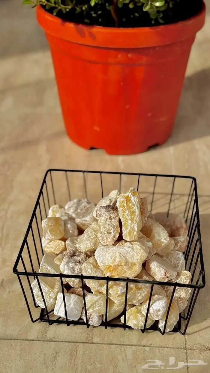 تنسيق الحدائق المنزلية 6