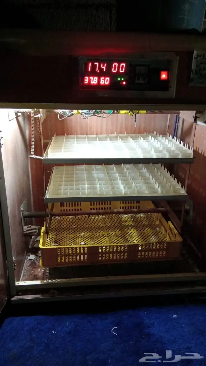 فقاسه تماتيك نضيفه تشيل 180 تقريباء 0