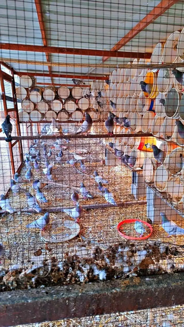 مشروع حمام منتج 0