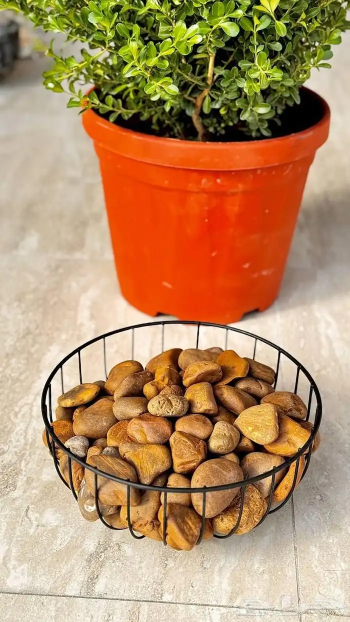 تنسيق الحدائق المنزلية 2