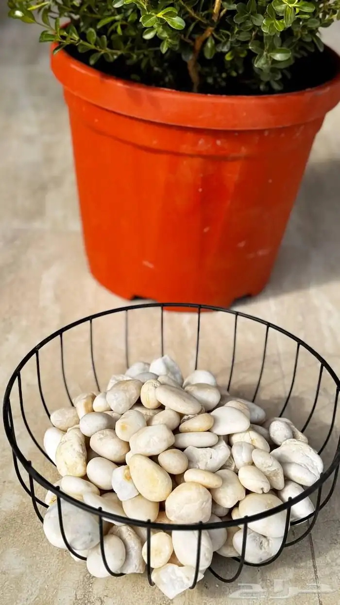 تنسيق الحدائق المنزلية 10