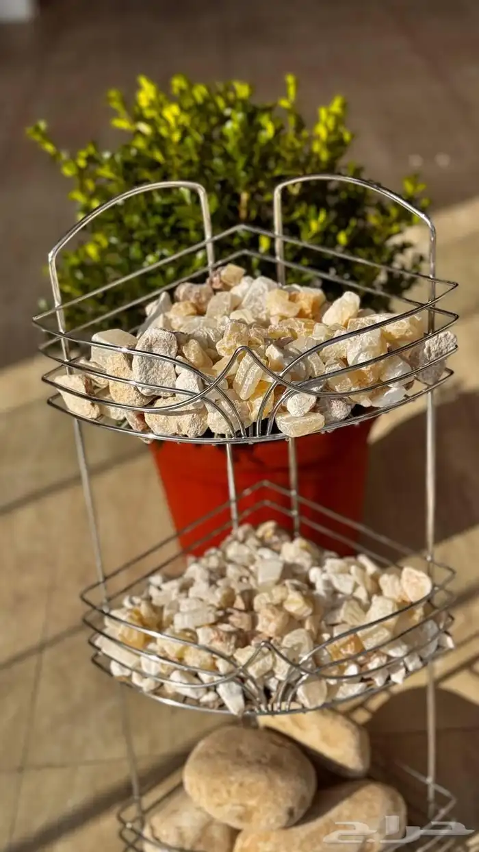 تنسيق الحدائق المنزلية 13