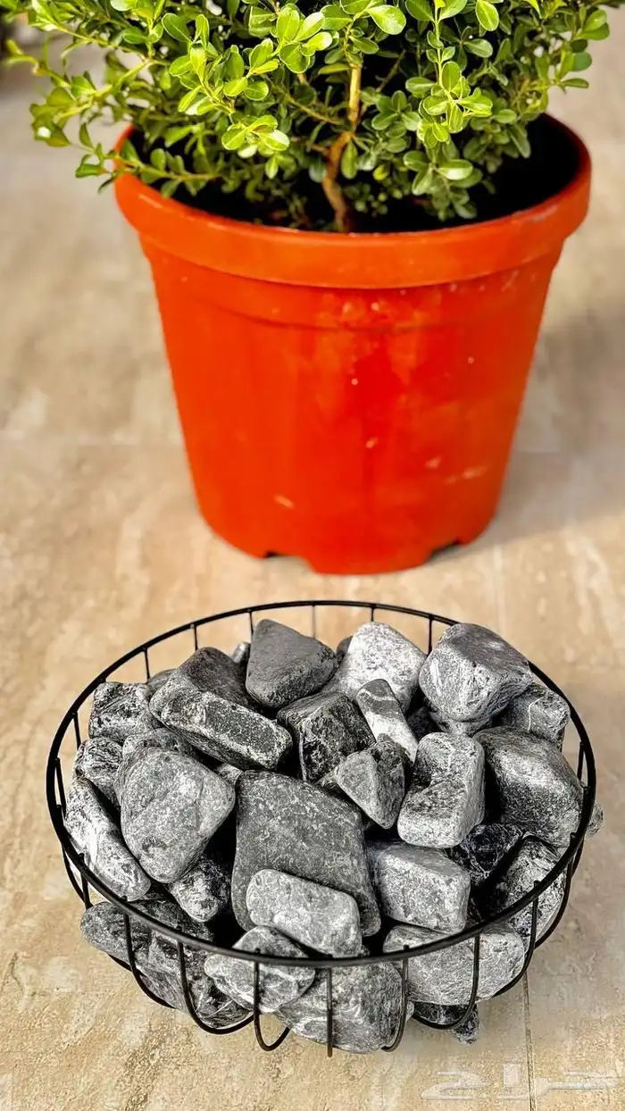 تنسيق الحدائق المنزلية 9