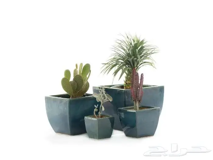 مراكن زراعة فاخرة لتنسيق الحدائق والمنزل 0