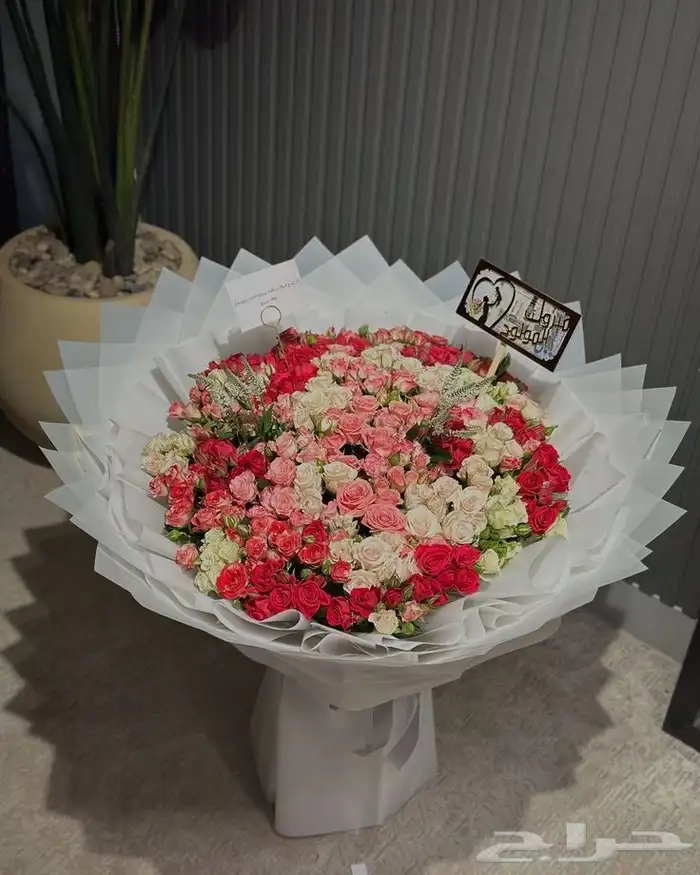 مندوب هدايا متسوق شخصي 3