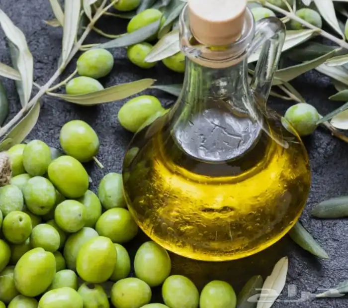 زيت زيتون الجوف من مزارعنا 1