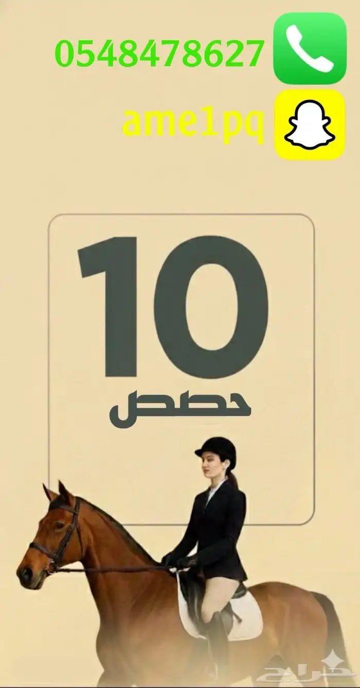 تدريب خيول 0