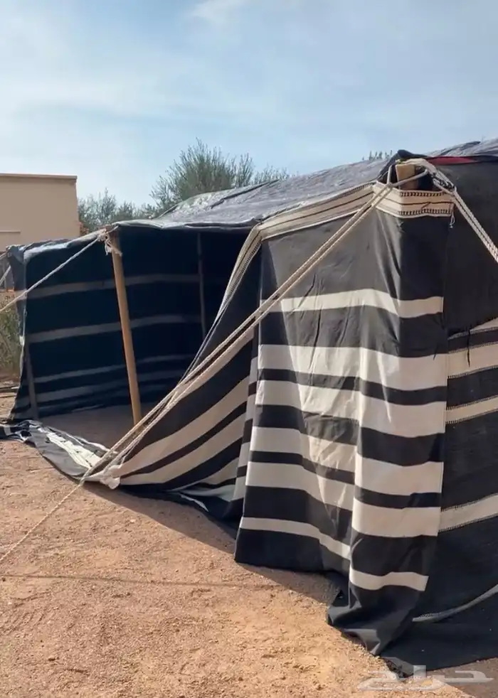 بيت شعر للبيع 7   5 نظيف على الشوف 4