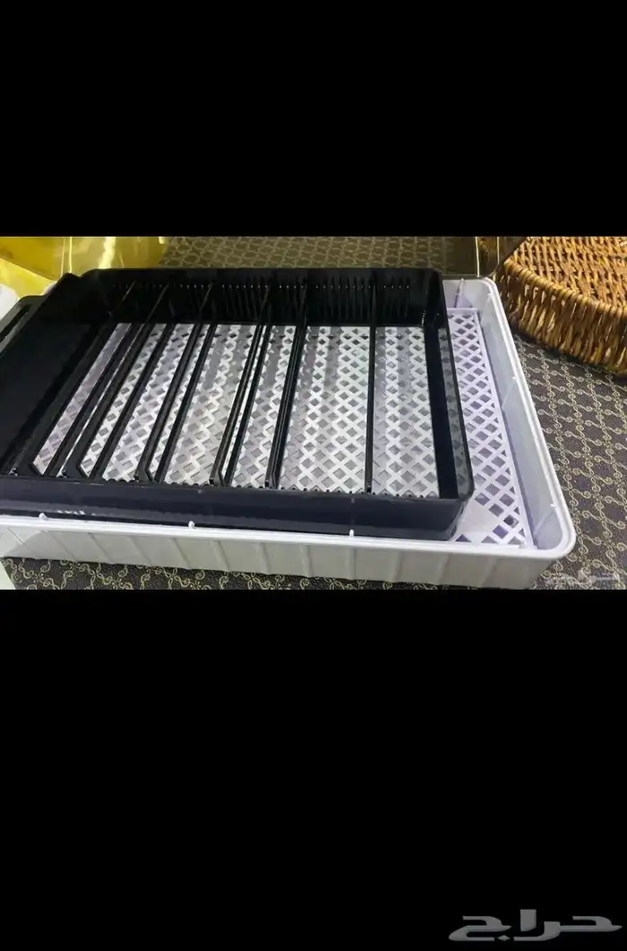 السلام عليكم يوجد فقاصه بيض وا جديده قد فرخت عندي على السوم 0