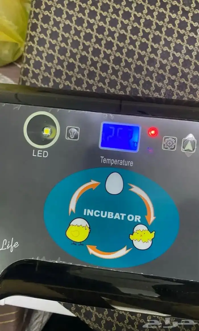السلام عليكم يوجد فقاصه بيض وا جديده قد فرخت عندي على السوم 1