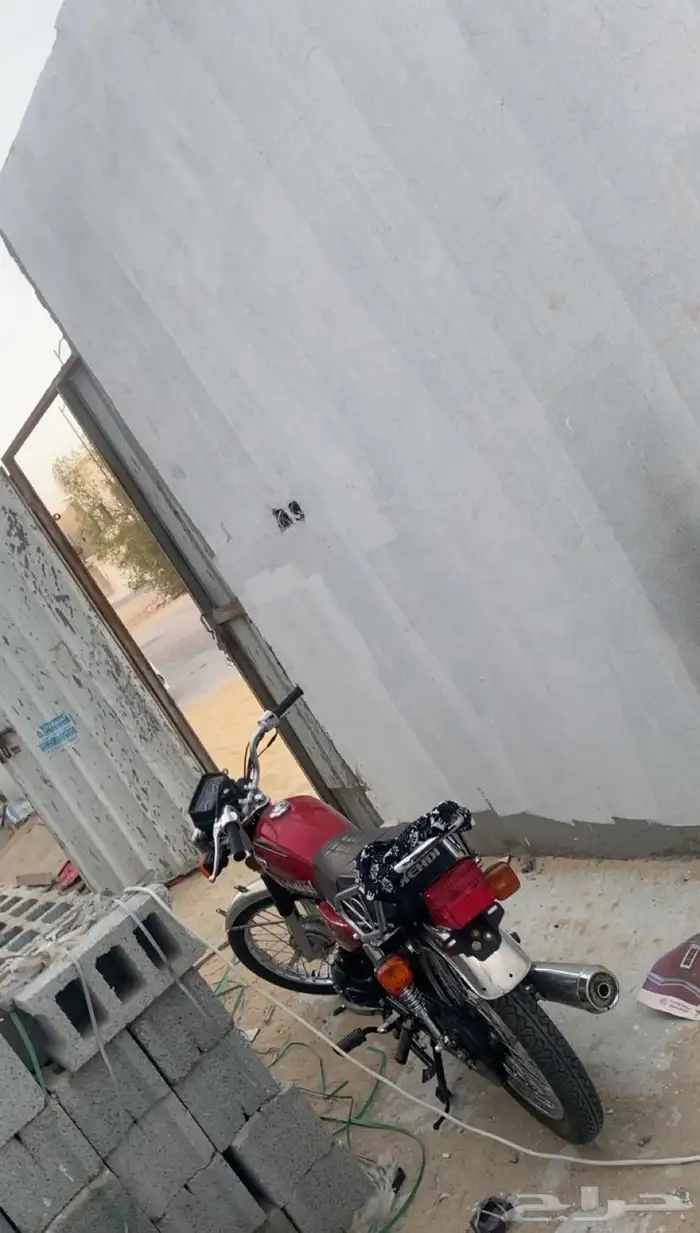 دباب محمود 1