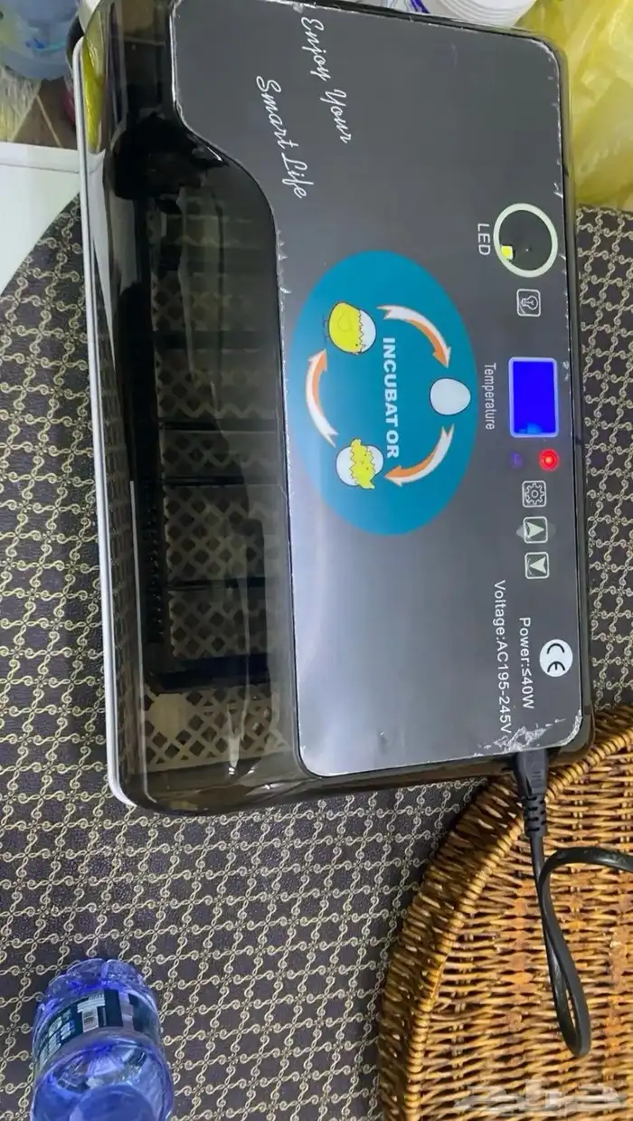 السلام عليكم يوجد فقاصه بيض وا جديده قد فرخت عندي على السوم 2