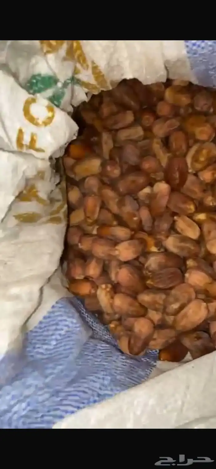 تمر سكري قربع حصد السنه هاذي 1