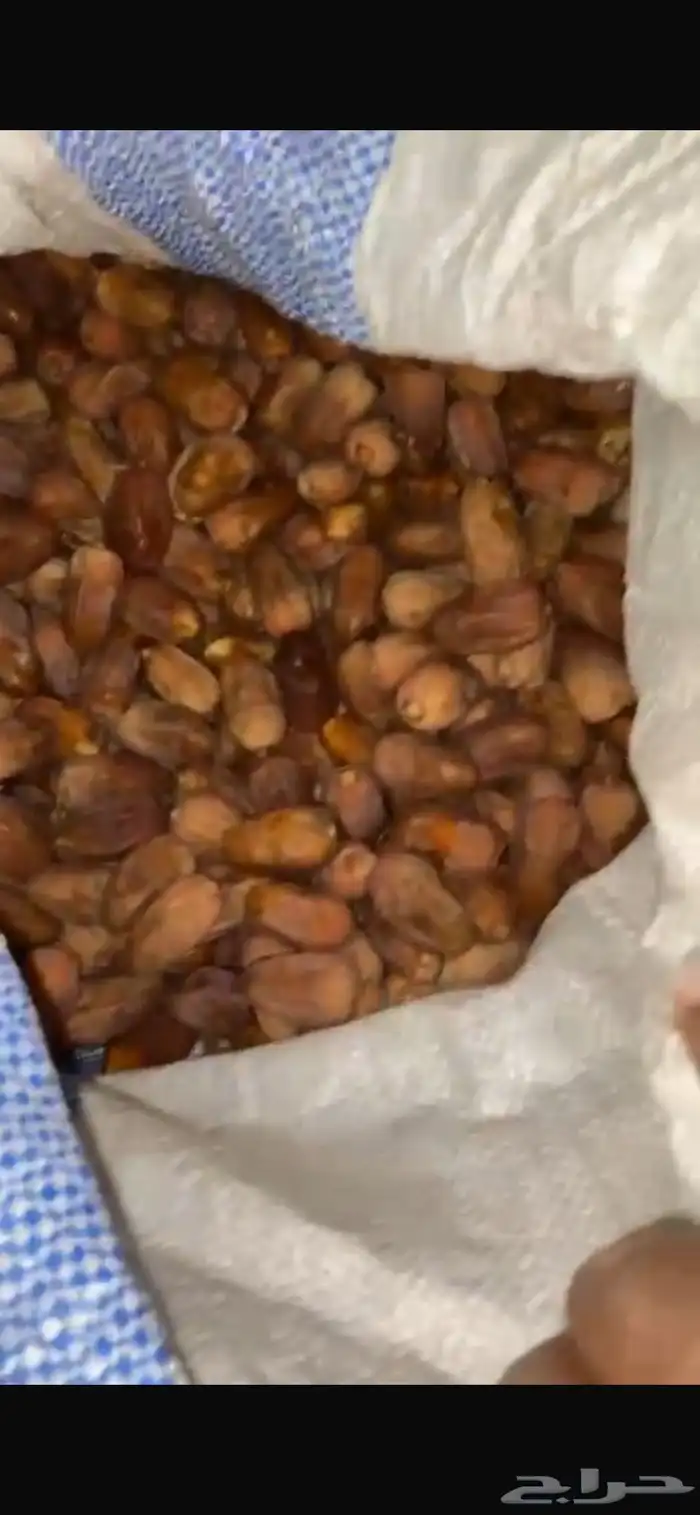 تمر سكري قربع حصد السنه هاذي 0