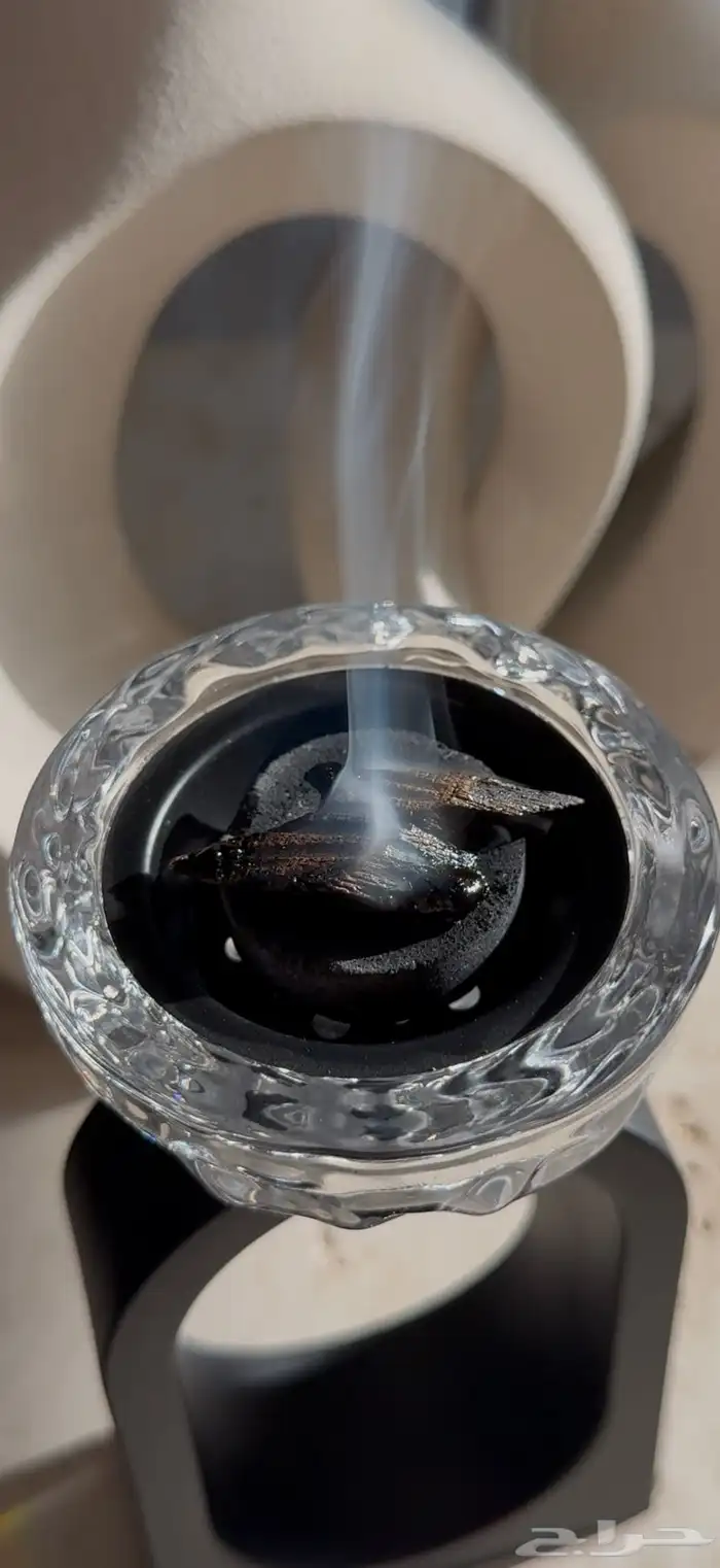 عود تايقر كمبودي 3