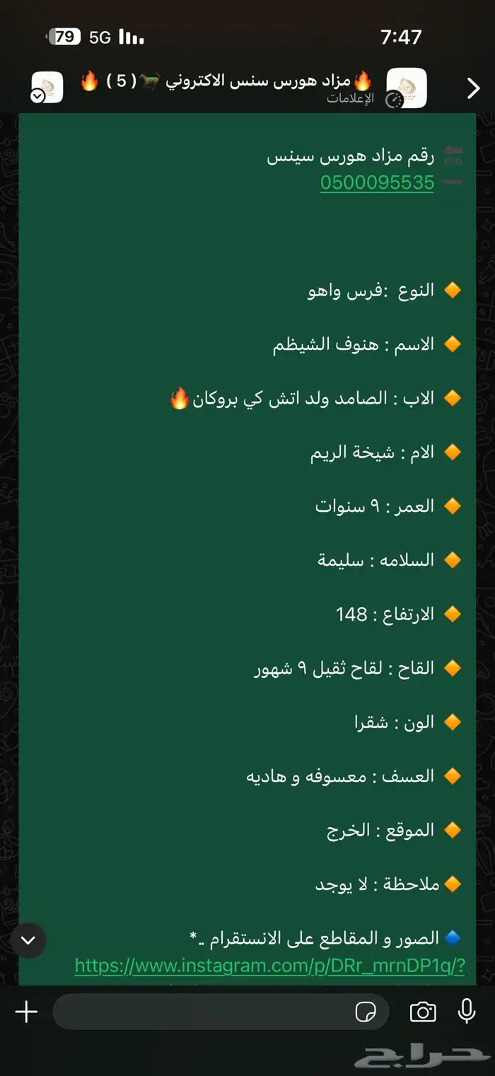 فرس واهو لقاح ثقيل 3