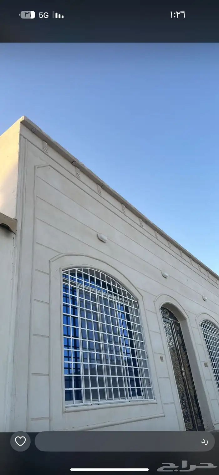 بديل الحجر 6