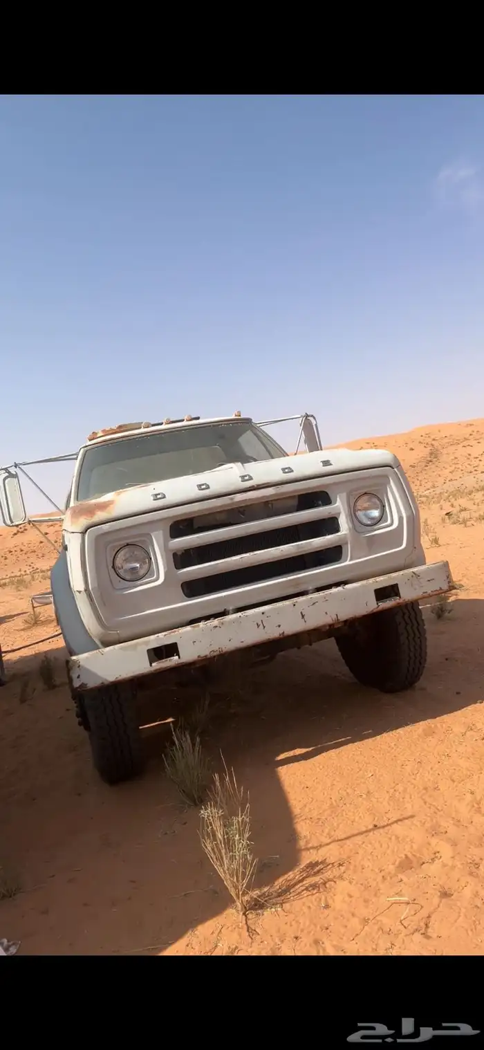 للبيع قلص علف وغرفة الراعي ووايت دوج 4