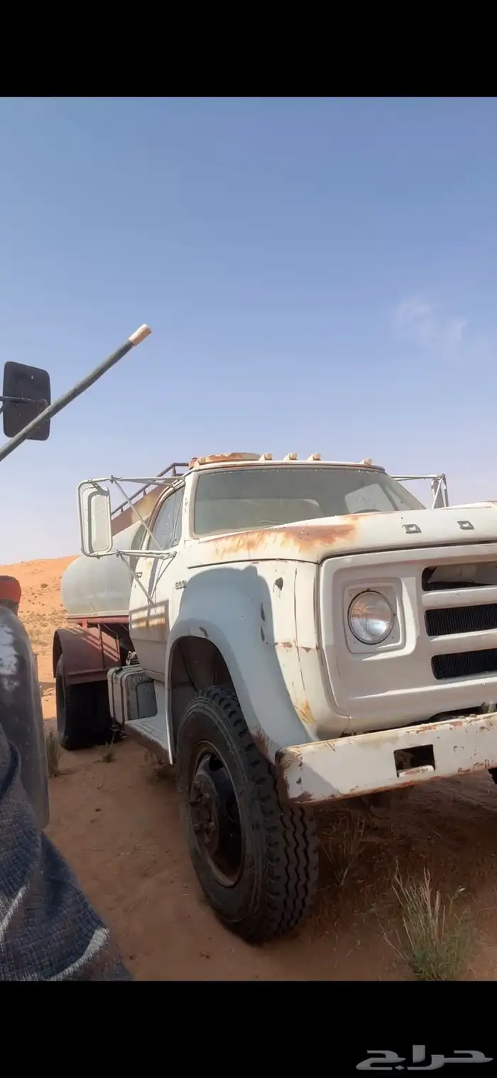 للبيع قلص علف وغرفة الراعي ووايت دوج 3