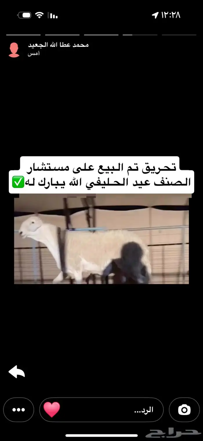 رخال نوادر صنف 3