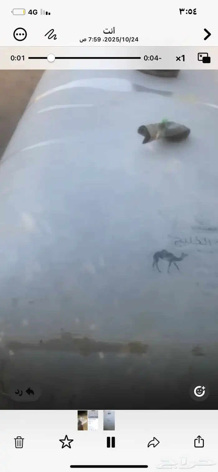 راويه الخليج من السنيدي 0