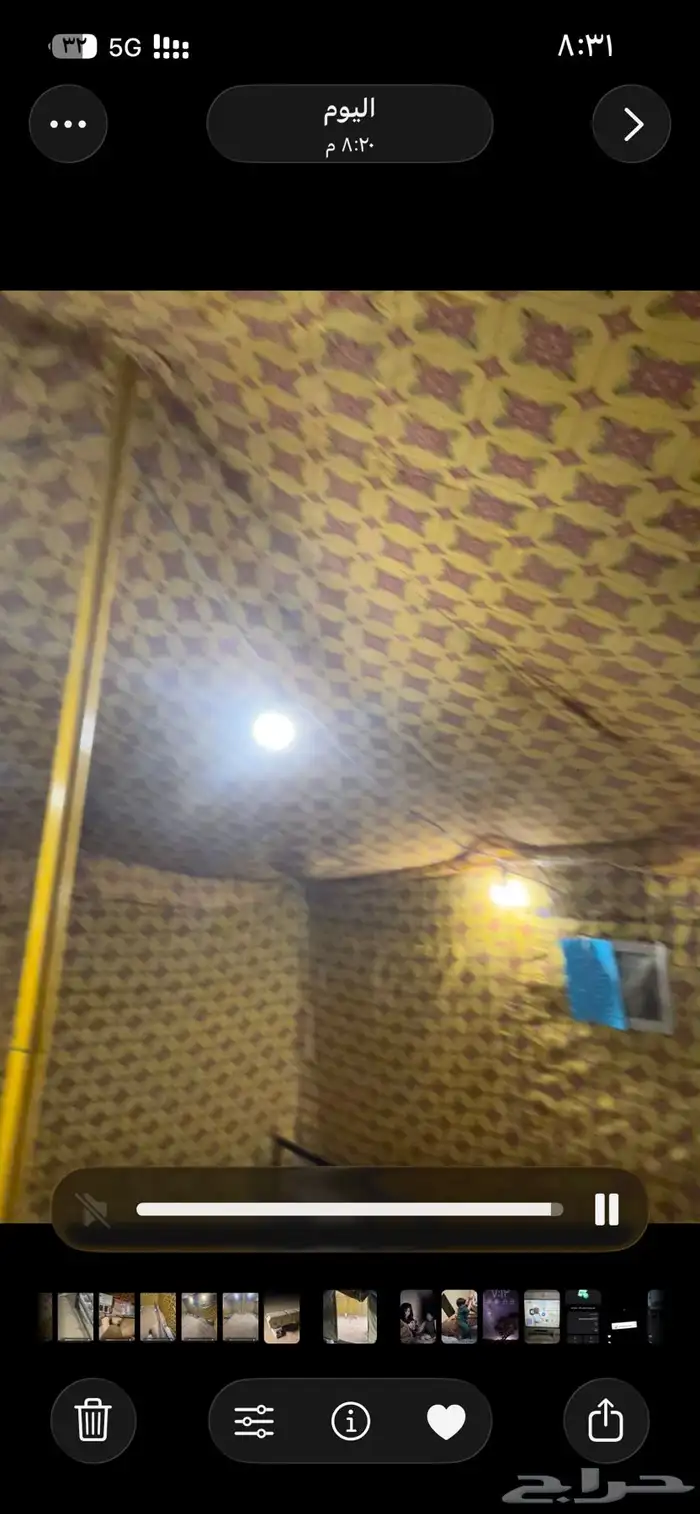 للبيع خيمة 4 ب4 مع تانكي ابيض برا داخلي اصفر مشجر 13