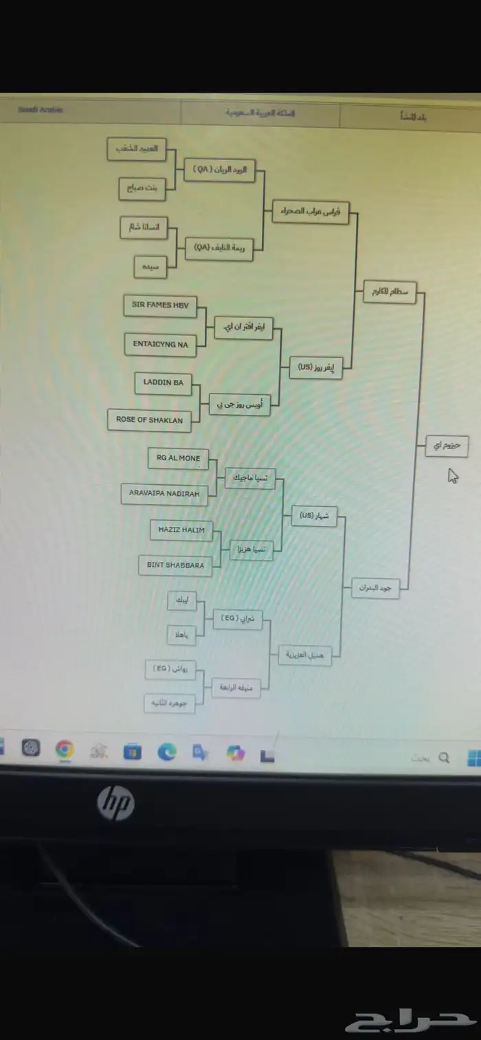 حصان عربي كفو 4