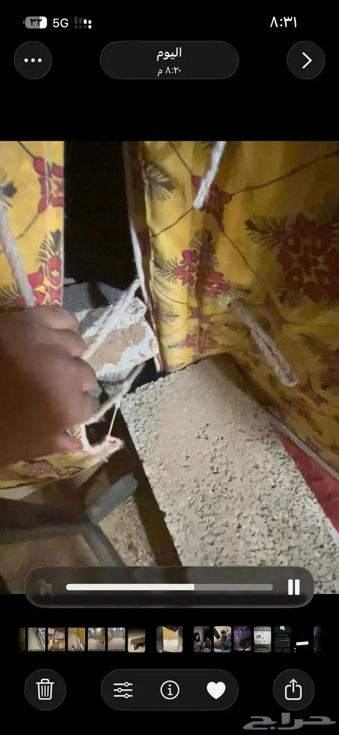 للبيع خيمة 4 ب4 مع تانكي ابيض برا داخلي اصفر مشجر 10