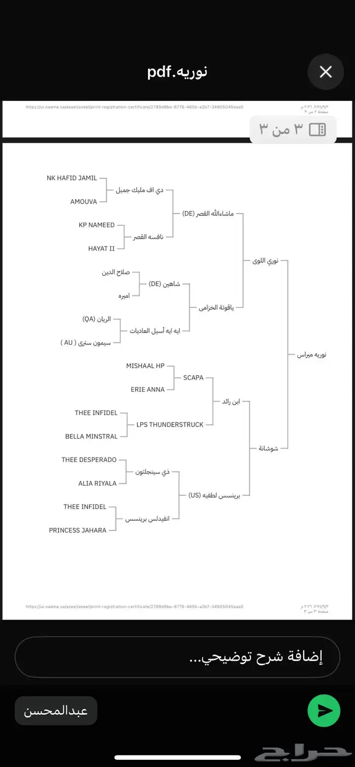 فرس مصرية للبيع 6