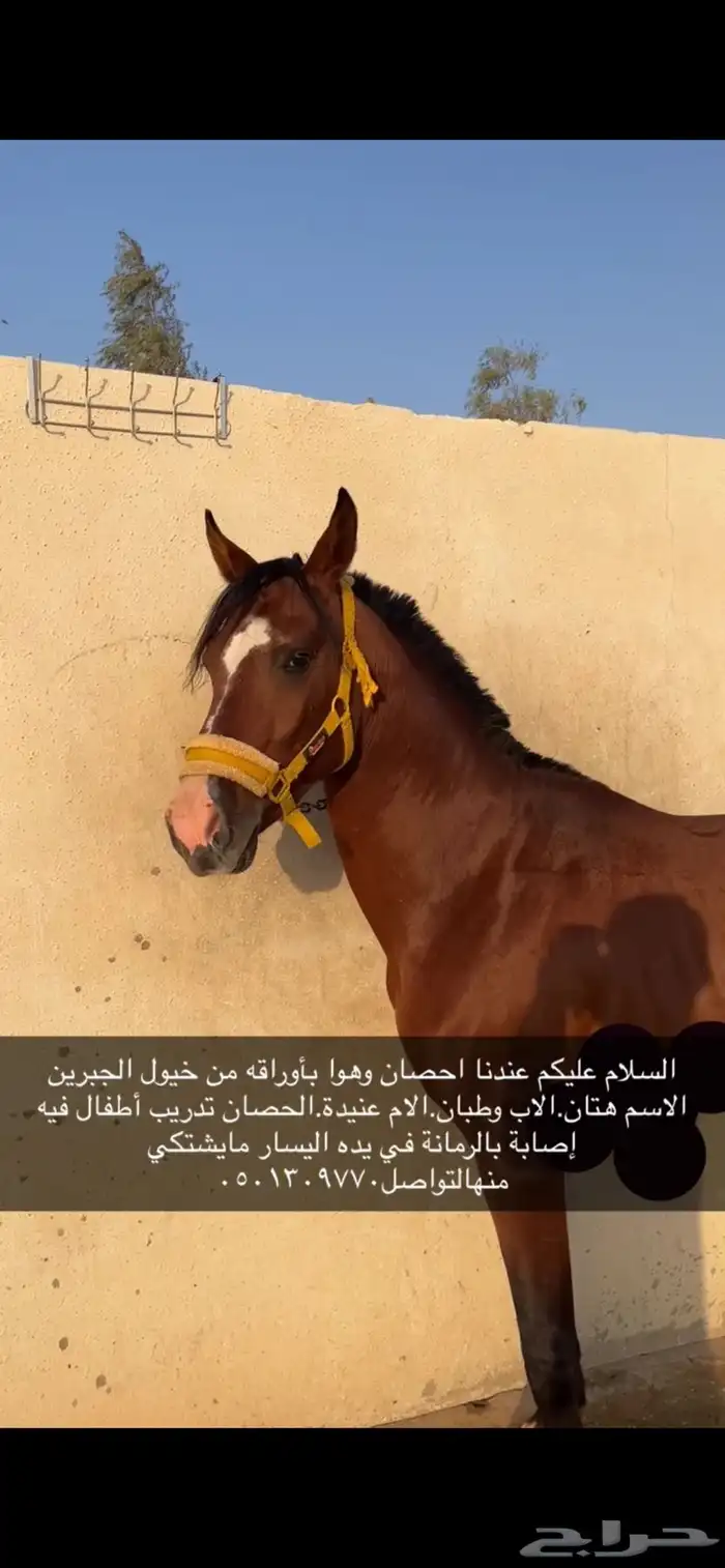 بسم الله الرحمن الرحيم 0