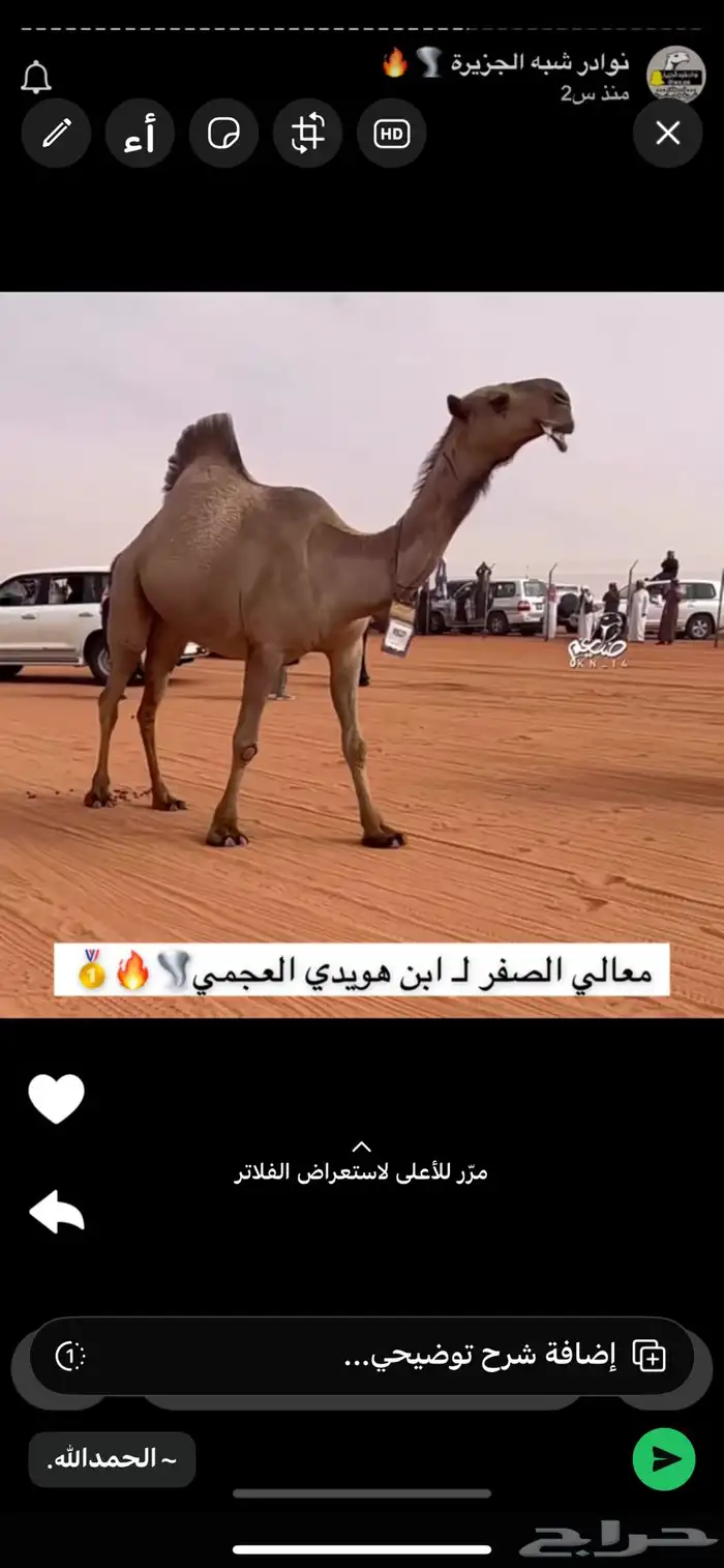 قعود رماني كفو 5