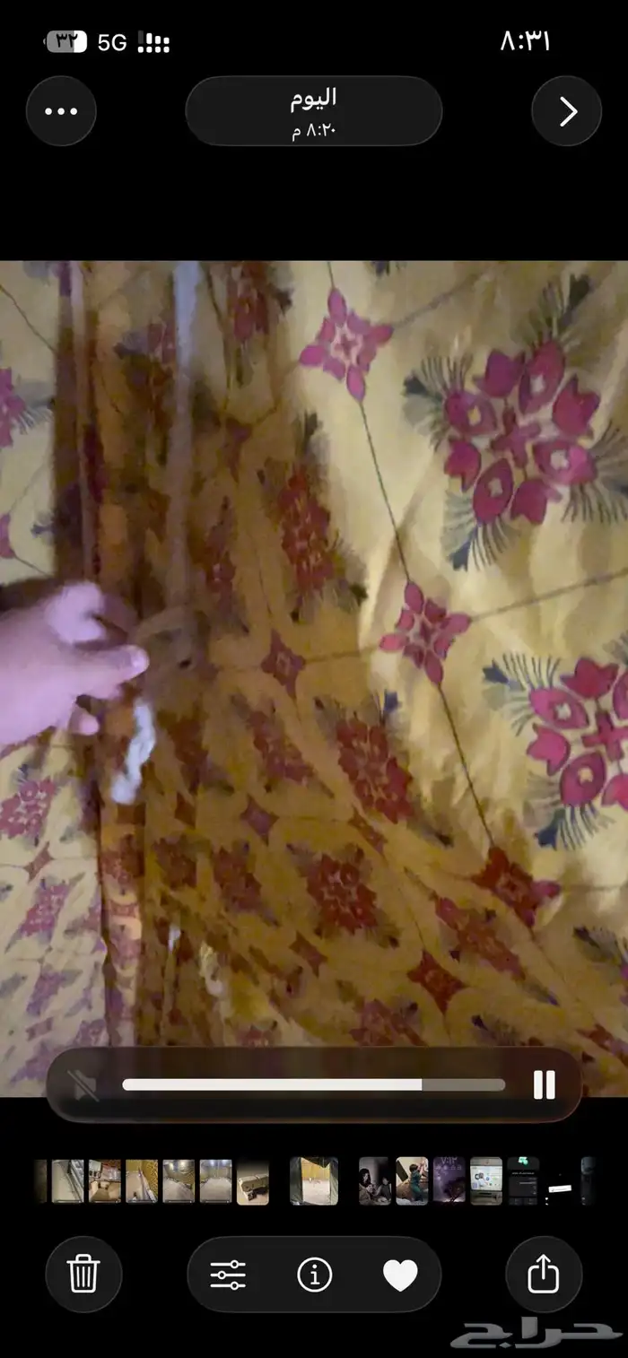 للبيع خيمة 4 ب4 مع تانكي ابيض برا داخلي اصفر مشجر 11