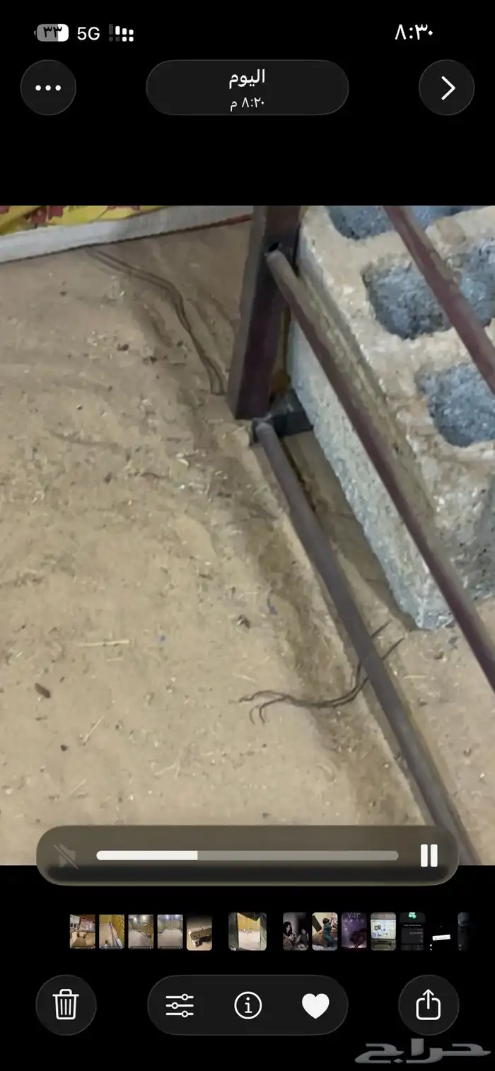 للبيع خيمة 4 ب4 مع تانكي ابيض برا داخلي اصفر مشجر 4