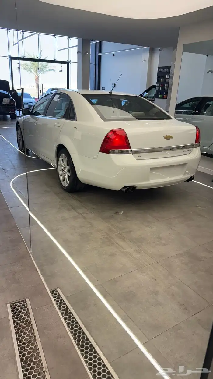 كابرس 2015 عداد 249 بدي شرط معاد ملاحظات بسيطة 4