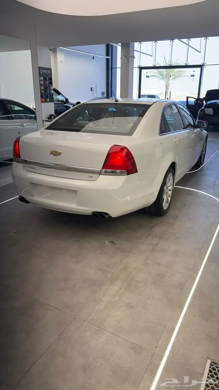 كابرس 2015 عداد 249 بدي شرط معاد ملاحظات بسيطة 3